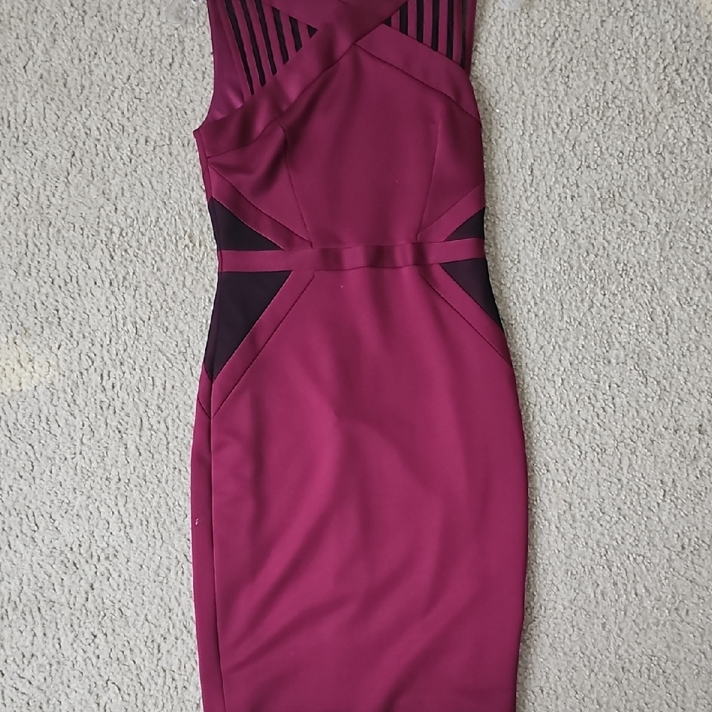 Elegant Burgundy Sleeveless Dress